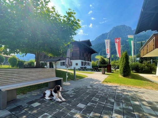 Aussenansicht im Sommer - Reka-Ferienhaus Rougemont