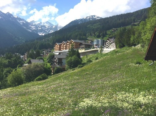 Vista esterna in estate - T-Resort