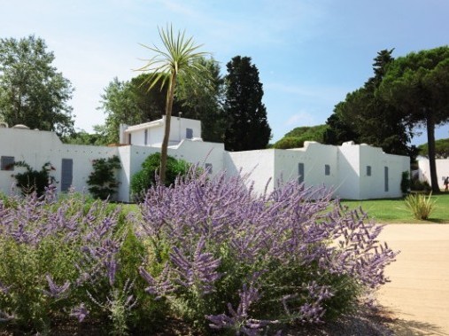 Aussenansicht der Ferienwohnungen - Résidence Presqu’île du Ponant