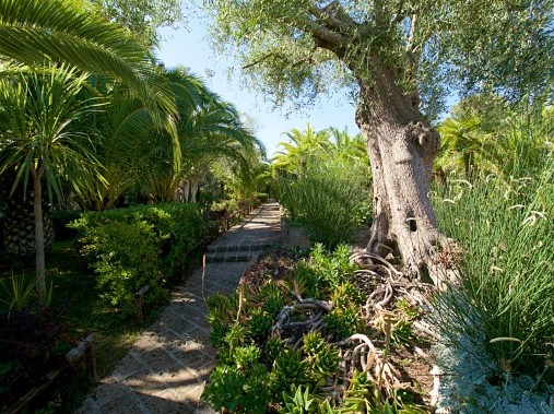 Giardino - Residence Solemaremma