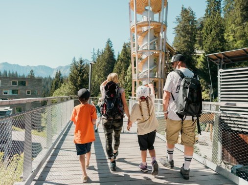 Sentiero tra le chiome degli alberi - rocksresort