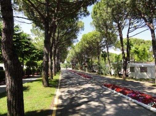 Vue extérieure du mobilhome - Sant'Angelo Village