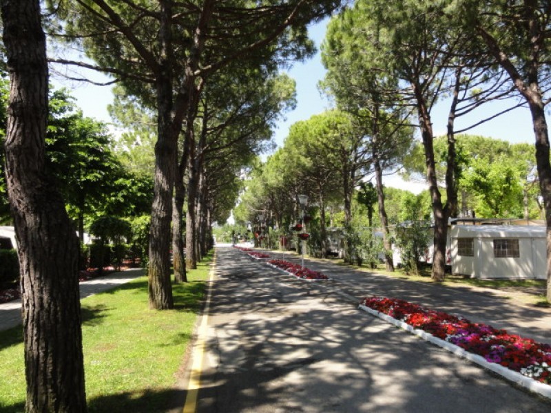 Vista esterna mobilhome - Sant'Angelo Village