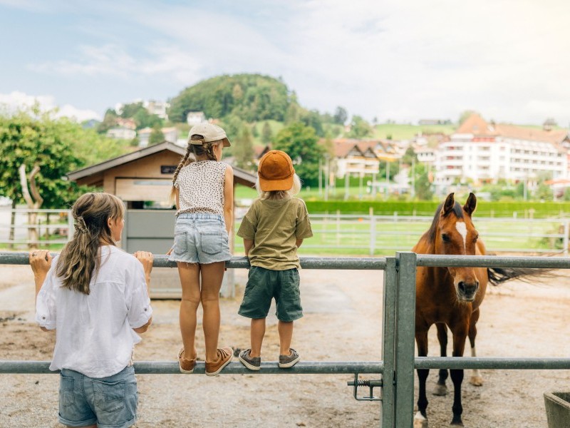 Fronalp Erlebnishof - Swiss Holiday Park Morschach
