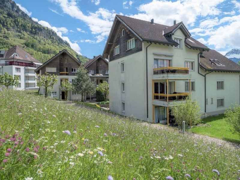 Exterior view in summer - Swiss Holiday Park