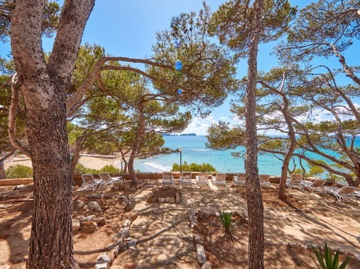 Espace extérieure - Universal Hotel Lido Park & Spa - Paguera Mallorca