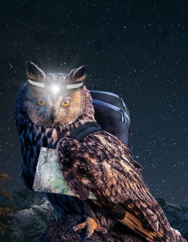 Wanderwege Eule am Nachtwandern