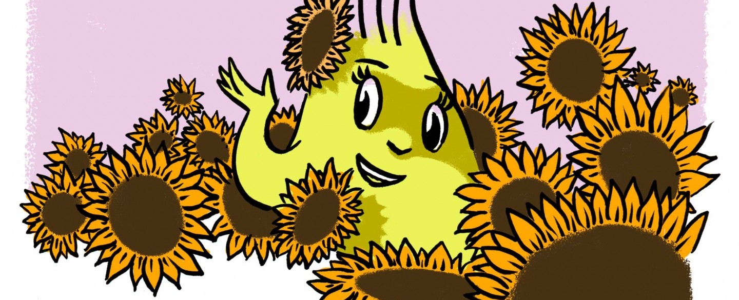 sunflowers