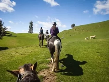 Reitverein El Chorro